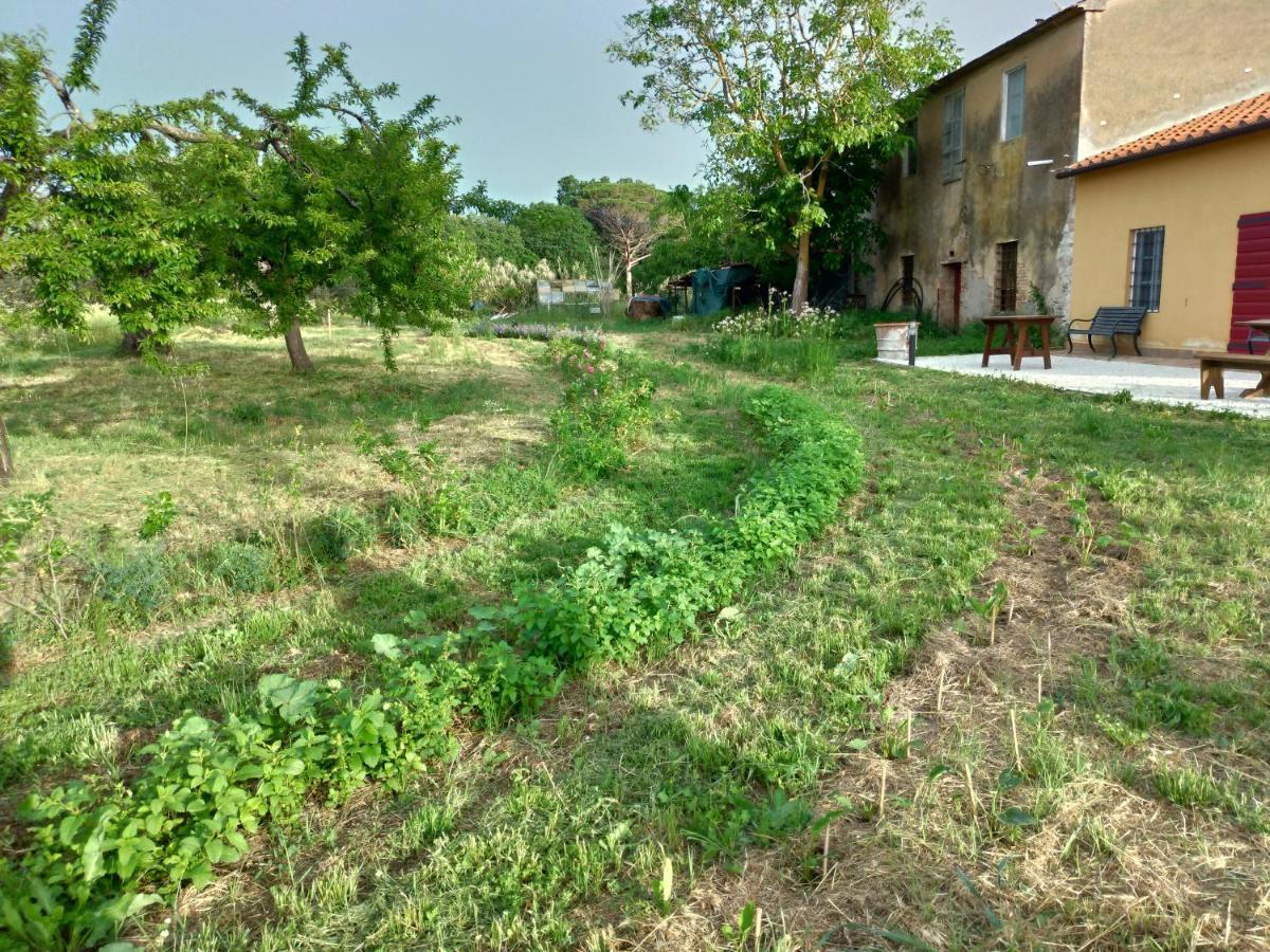 Casa Daria, Armonia Del Passato Nel Rispetto Della Natura Donoratico Exterior foto